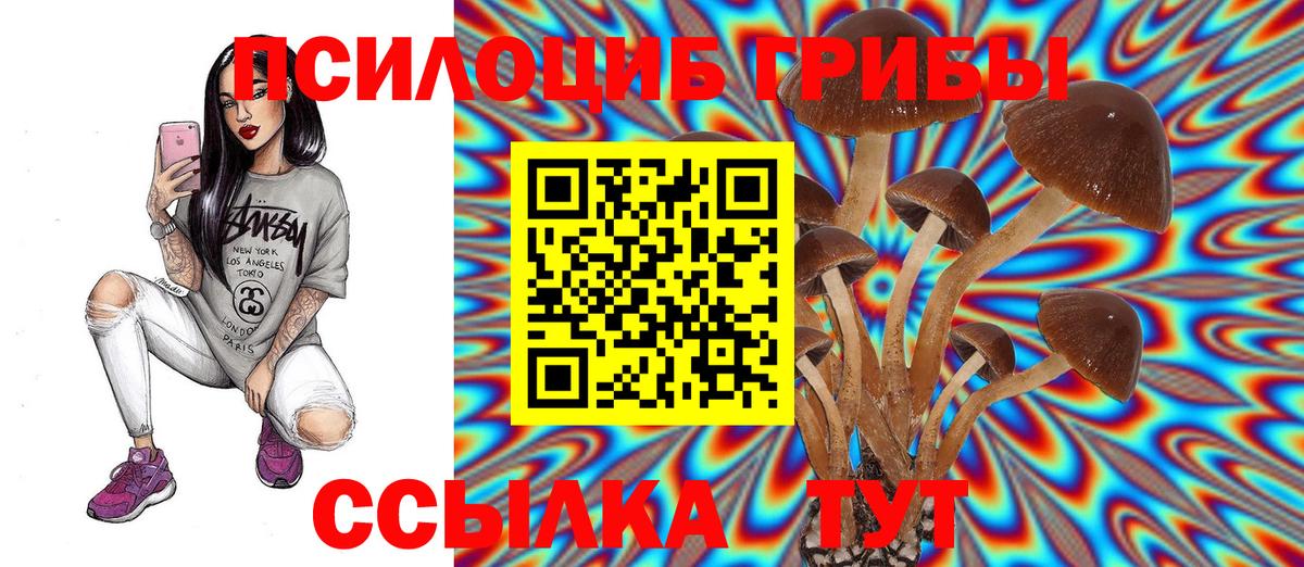 Псилоцибиновые грибы MAGIC MUSHROOMS  Вход с VPN  Бугуруслан 