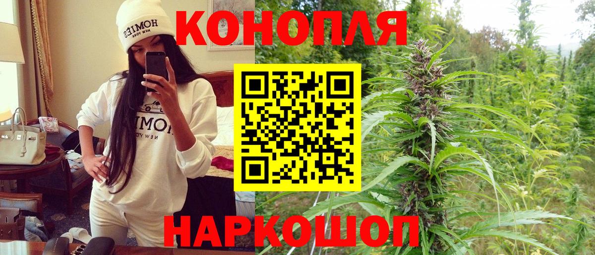 Бошки Шишки конопля Бугуруслан
